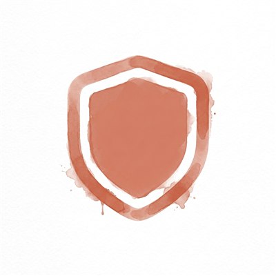 Shield icon